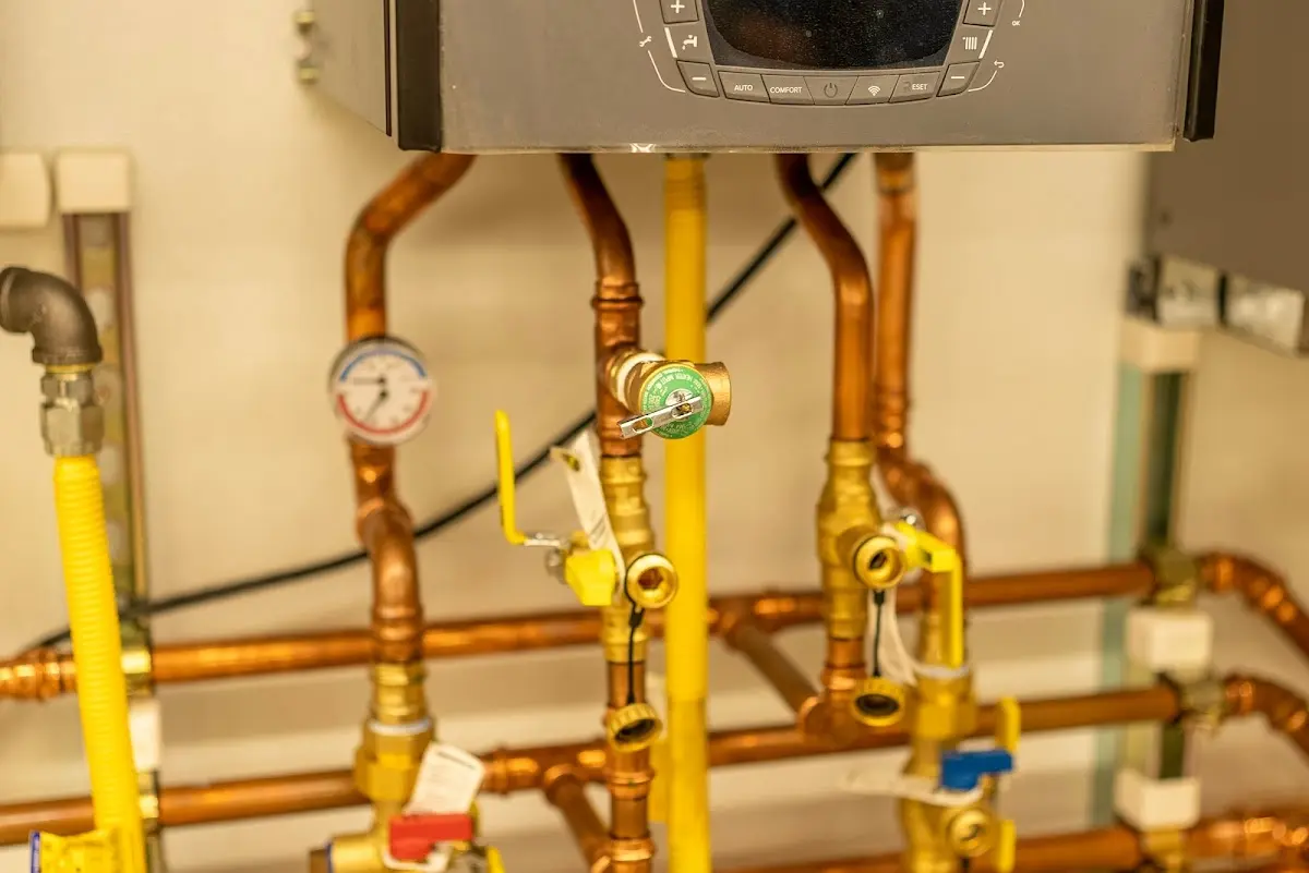 Licensed technician providing Emergency Plumbing for a homeowner in Mendota